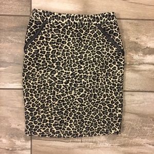 Amanda & Chelsea Pencil Skirt